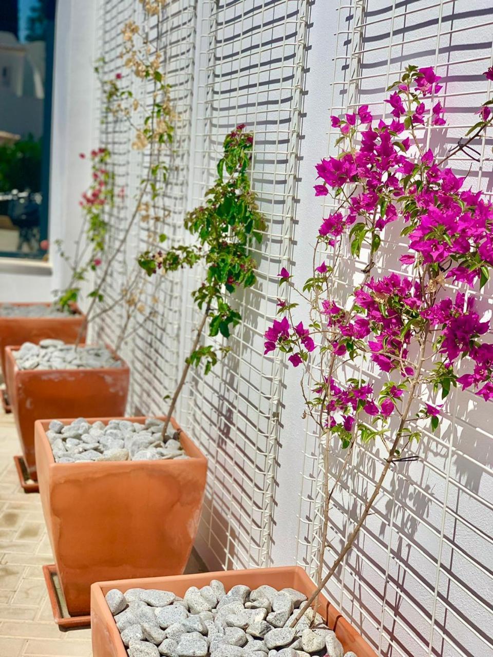 Casa Penina Hotel อัลวอร์ ภายนอก รูปภาพ